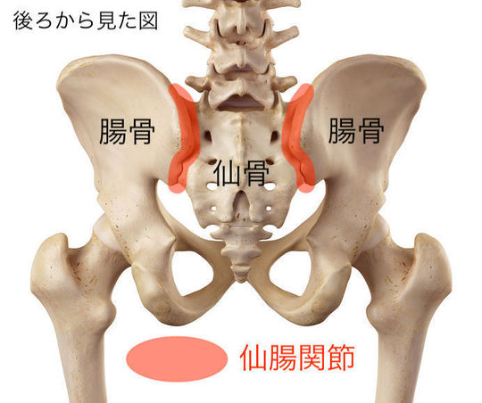 足の長さの違い 板橋 ときわ台の産後骨盤矯正 骨盤矯正の整体院 整骨院 ときわ台駅前整骨院